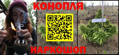 сатива Кандалакша